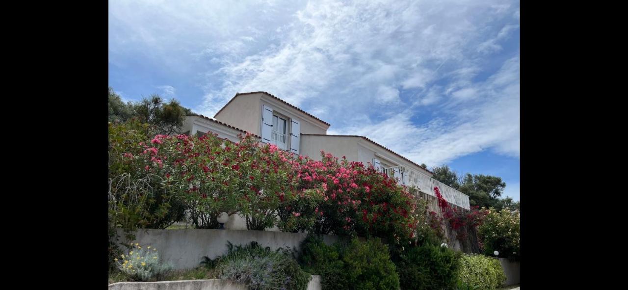 Residence Castugna Cargèse المظهر الخارجي الصورة