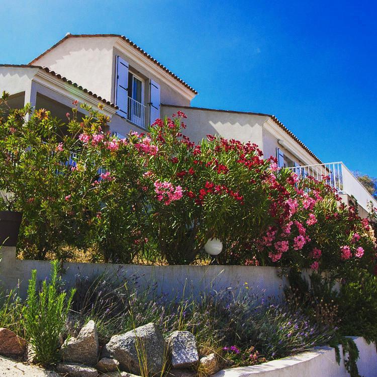 Residence Castugna Cargèse المظهر الخارجي الصورة