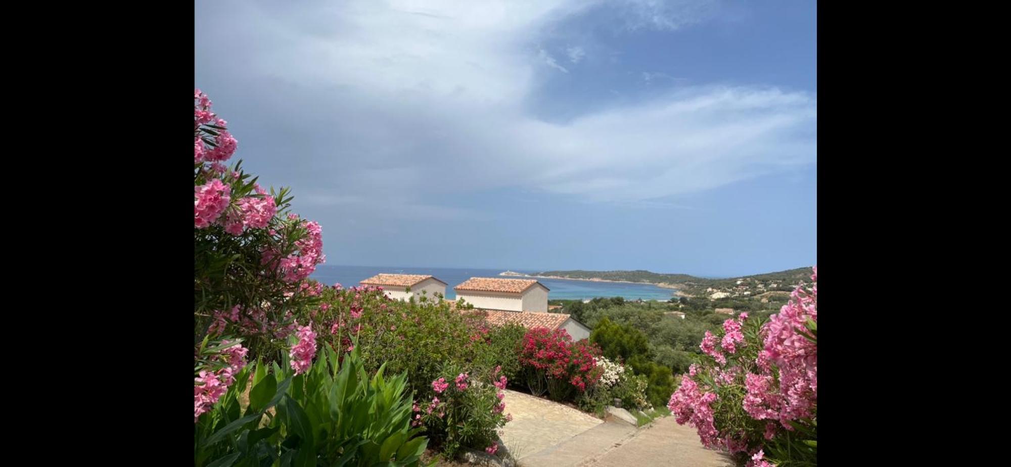 Residence Castugna Cargèse المظهر الخارجي الصورة